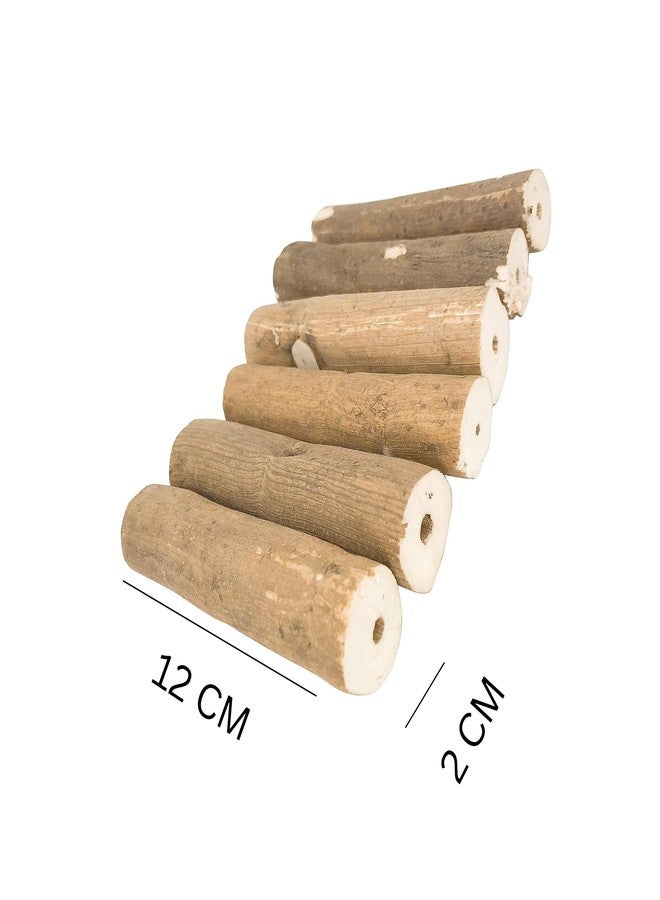 JOYNAGAR 10-Piece Sola Wood Log Chewing Toy for Parrot, Cockateil, Parakeet, Budgie, Conures, Amazon, African Grey, Macaws, Cockatoo, Eclectus and Other| 12 cm Long - Image 4